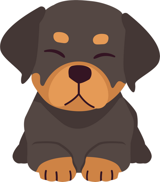 The Collection of Rottweiler in Many Action. Graphic Resource about Set of Dogs Rottweiler for Graphic, Content, Etc.